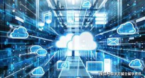 在美國學習信息技術專業后的職業選擇